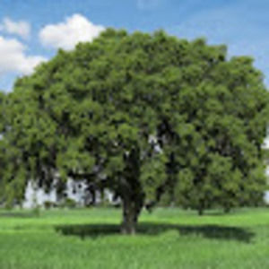 Meet your Posher, Nathan